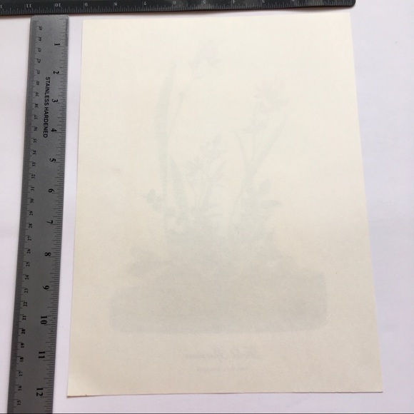 Vintage Botanical Wall Art Floral Sparrow Bird Berries - Picture 4 of 5